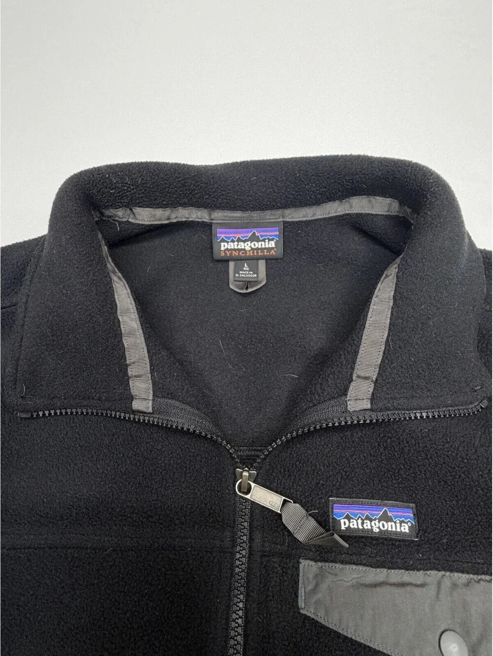 Patagonia men synchilla